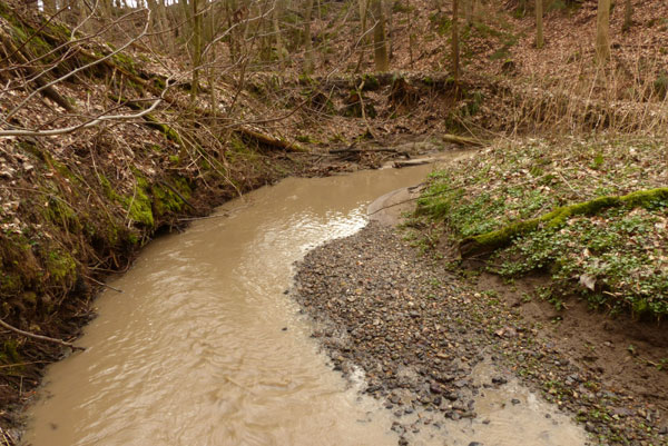 Sedimente für kurze Zeit im Fluss.