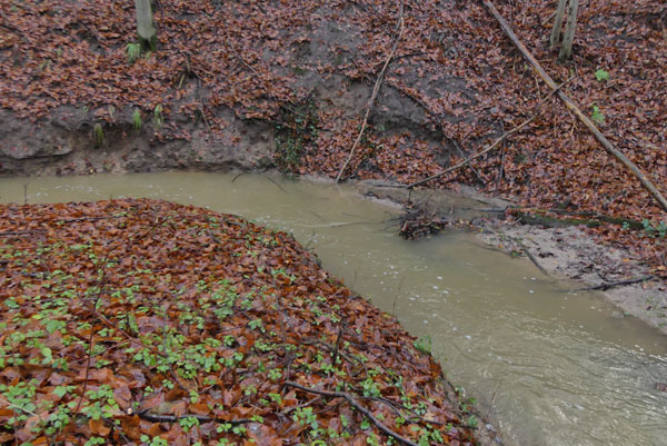 Sedimente für kurze Zeit im Fluss.
