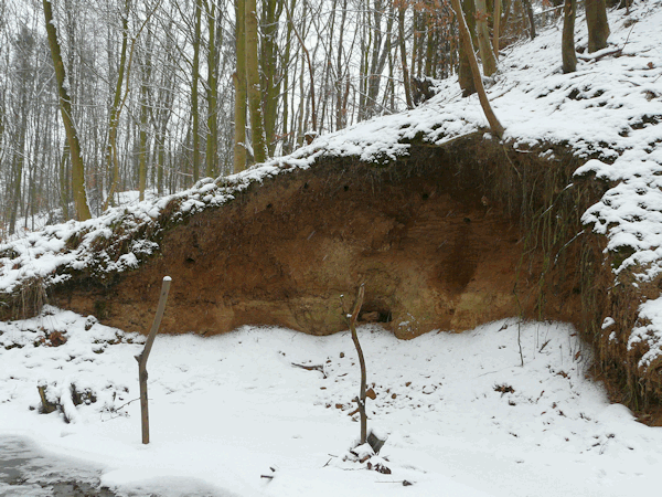 Abbruchkannte in Frost.