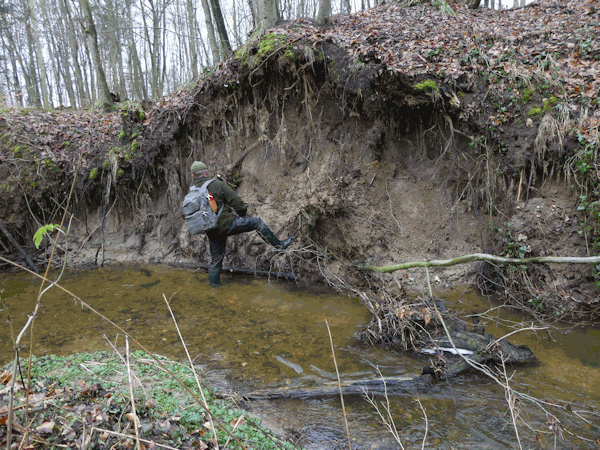 In Augenscheinnahme nach dem Winter.