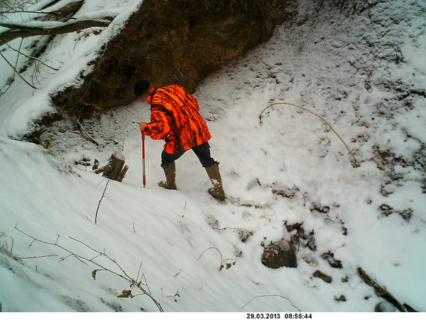 Eisvogelbrutwand im Winter, die Linke und auch die Rechte natürliche Brutanlage sind für die Brutsaison 2013 fertig. 