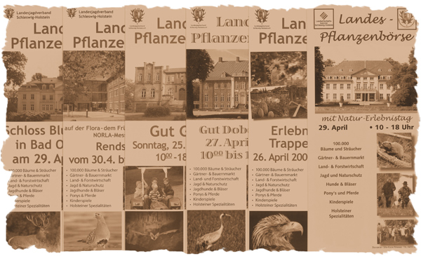 Landes-Pflanzenbörse, 2007, 2008, 2009, 2010, 2011,2012 und 2013.