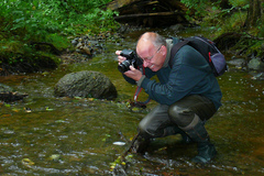 Wilfried Stender