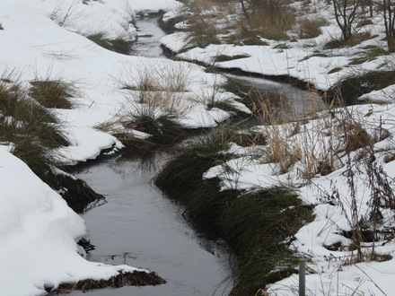 Klares und offenes Fließgewässer im Winter.