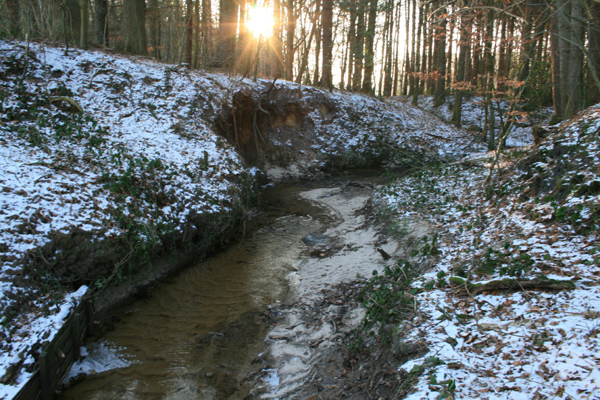 Das Sonnenlicht sowie das Oberflächen- und Grundwasser sind natürliche Elemente und wichtig für die Wälder. 