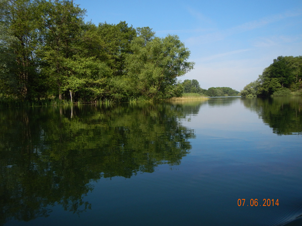 Lebensraum der Eisvögel. Lebensraum der Eisvögel.