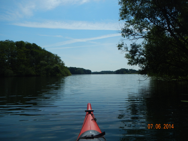Lebensraum der Eisvögel. Lebensraum der Eisvögel.