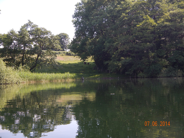 Lebensraum der Eisvögel. Lebensraum der Eisvögel.