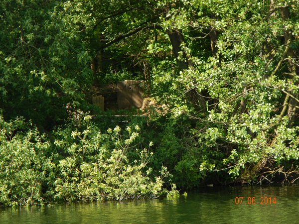 Lebensraum der Eisvögel. Lebensraum der Eisvögel.