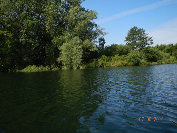 Lebensraum der Eisvögel. Lebensraum der Eisvögel.