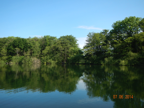 Lebensraum der Eisvögel. Lebensraum der Eisvögel.