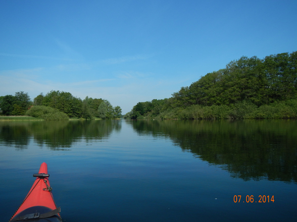 Lebensraum der Eisvögel. Lebensraum der Eisvögel.