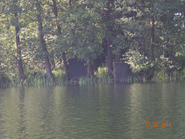 Lebensraum der Eisvögel. Lebensraum der Eisvögel.