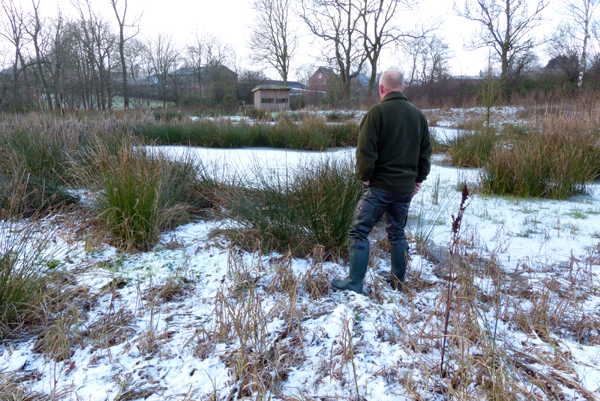 Das Biotop befindet sich im >Winterschlaf