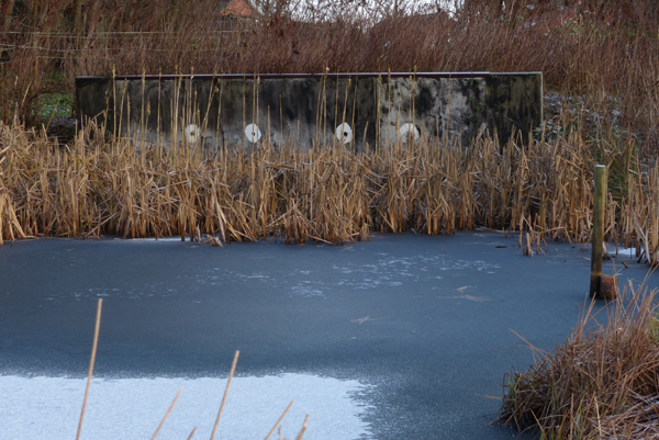 Eisvogelbrutwand im Bereich einer Quelle.