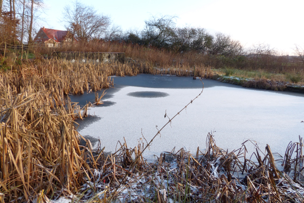 Eisvogelbrutwand im Bereich einer Quelle.