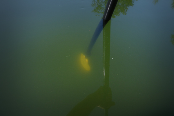 Sehr trübes Wasser, schlechte Sichttiefe.