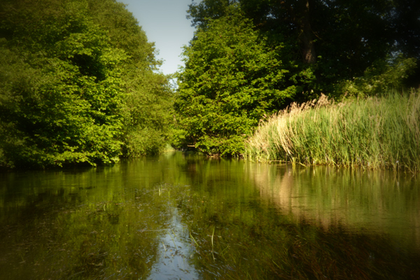 Weite und weniger weite Wasserflächen.