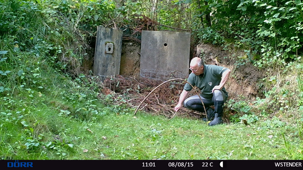 Die letzten Eisvogelbruten (2015) neigen sich dem Ende zu. Leider wurde diese Brutanlage nicht befahren. Die letzten Eisvogelbruten (2015) neigen sich dem Ende zu. Leider wurde diese Brutanlage nicht befahren.