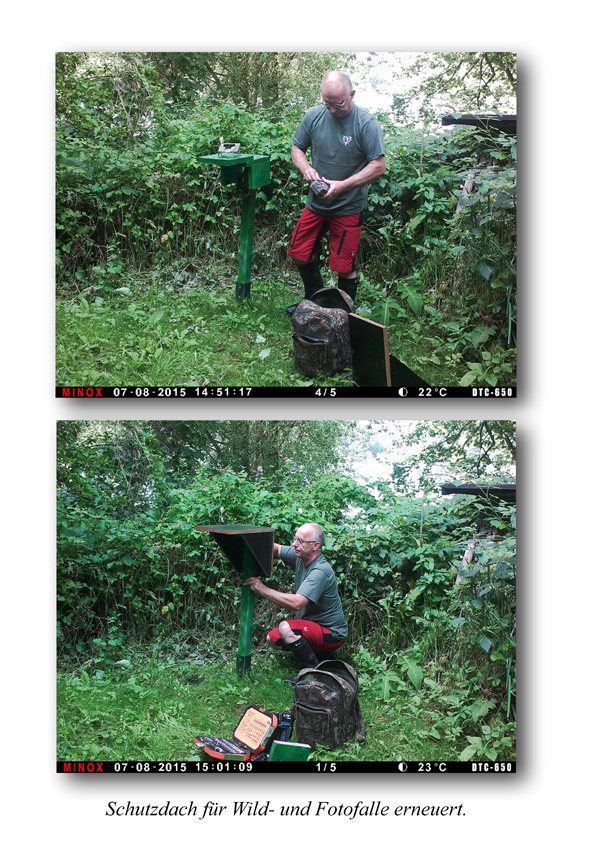 Tausch eines Wetterschutzdachs - für eine Wild- und Fotofalle. Tausch eines Wetterschutzdachs - für eine Wild- und Fotofalle.