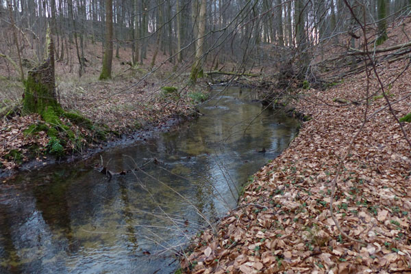 Offene Fließgewässer im Dezember 2015.