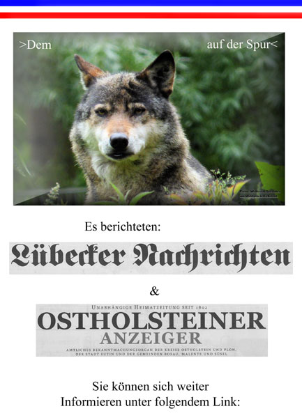 Wolfsjagd in Schleswig-Holstein - Teil 2