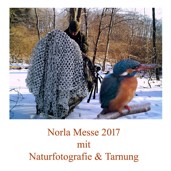 Norla Messe 2017 Rendsburg.