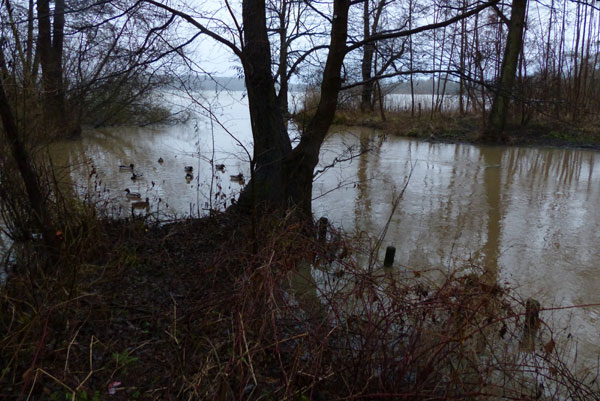 Fließgewässer im Herzen der Holsteinischen Schweiz nach lang anhaltendem Niederschlag.