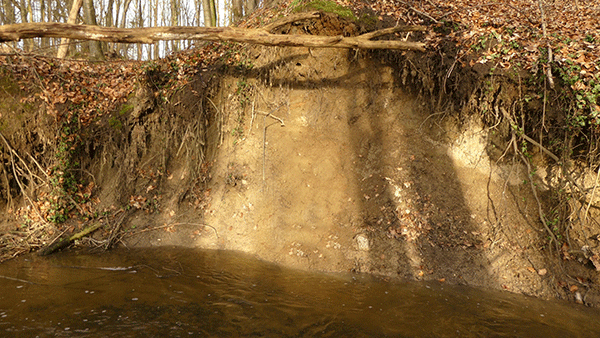 Fertig, Eisvögel können sich eine Anlage bauen.