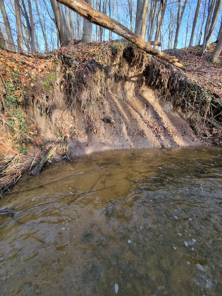 "Wasser ist nicht immer dein "Freund.