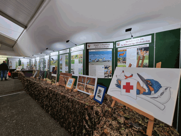 Eisvogelpräsentation auf der NORLA Messe 2023 in Rendsburg.