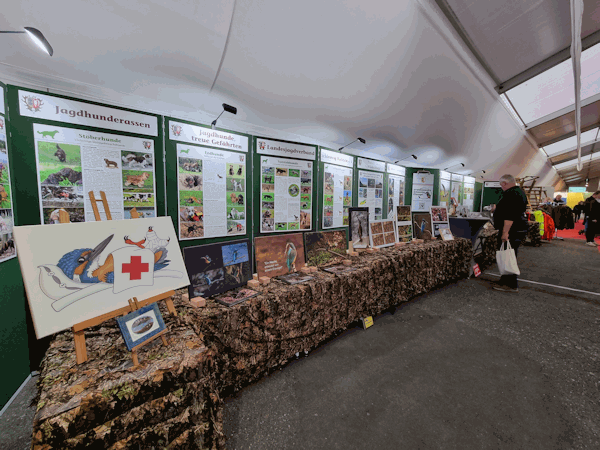 Eisvogelpräsentation auf der NORLA Messe 2023 in Rendsburg.