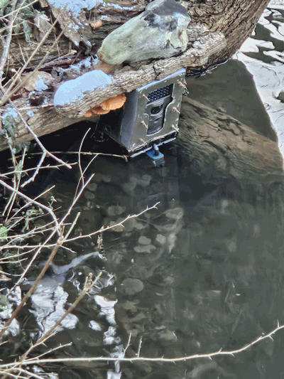 Schloss hängt schon im Wasser.