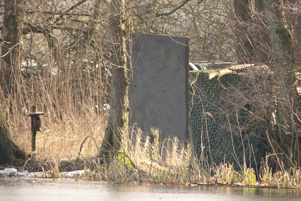 Wild- und Fotofalle, zu erkennen, links am Pfahl vor einer Eisvogelbrutwand.