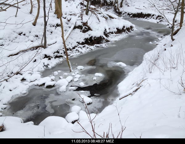 Winter 2013_Dieses Fließgewässer hat keine offenen Wasserflächen mehr!